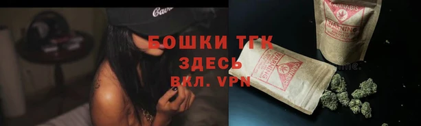 шишки Абинск