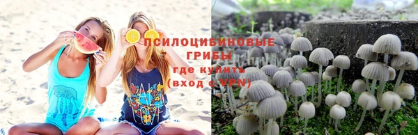 шишки Абинск