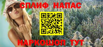 apvp Гагарин